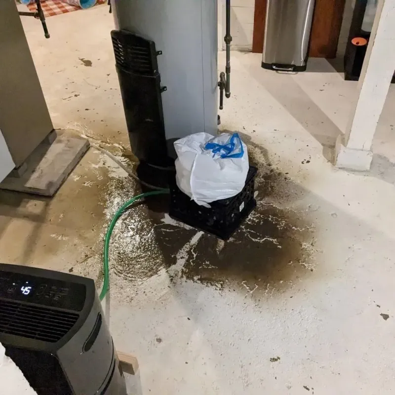 Sewage Backup Cleanup Service in Bellwood, IL